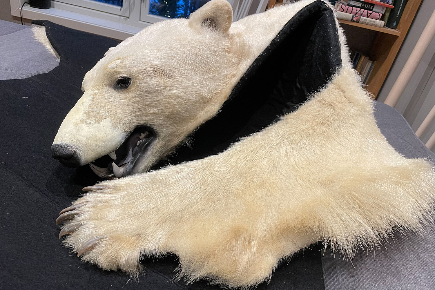 polar bear skin-16